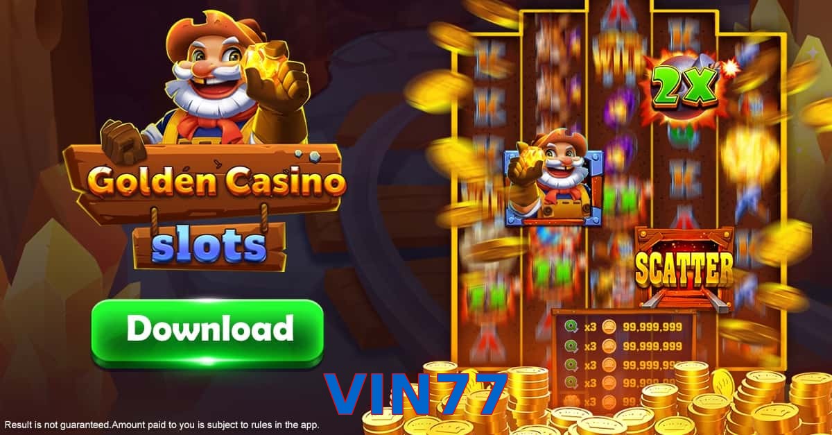 VIN77